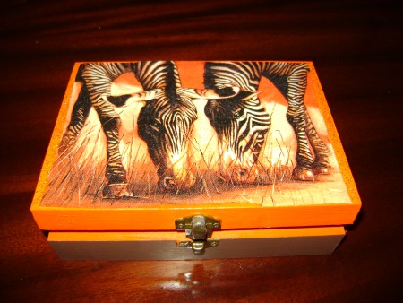 Caixa "Zebras" Ref:C11