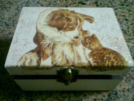Caixa "cão e gato" Ref:C46